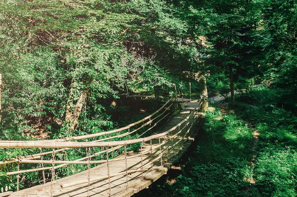 How should you adjust the suspension settings of a race car when driving on a wet track?